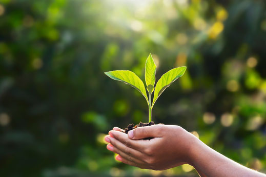 Fir for 55 Climate - Case study