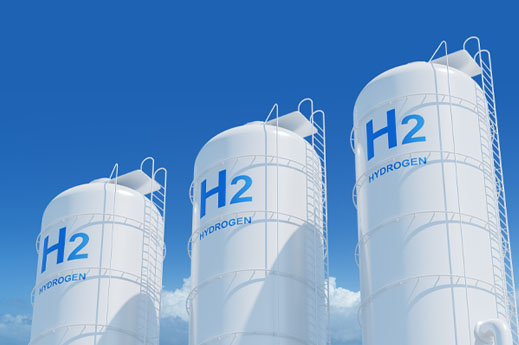 Renewable Carbon - Case Study